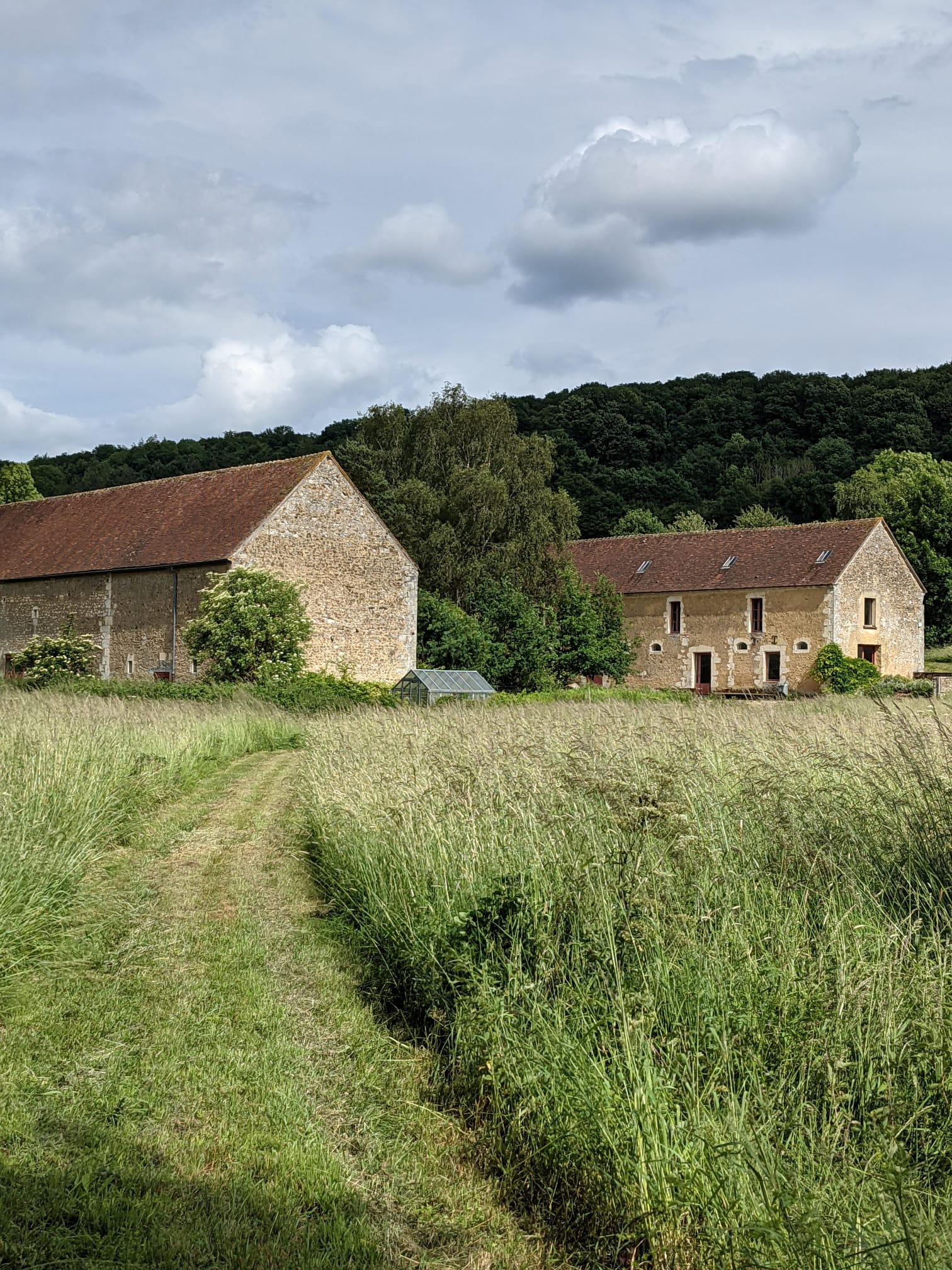 Maison Fertile, écolieu et gîte de retraites yoga et bien-être dans le Perche