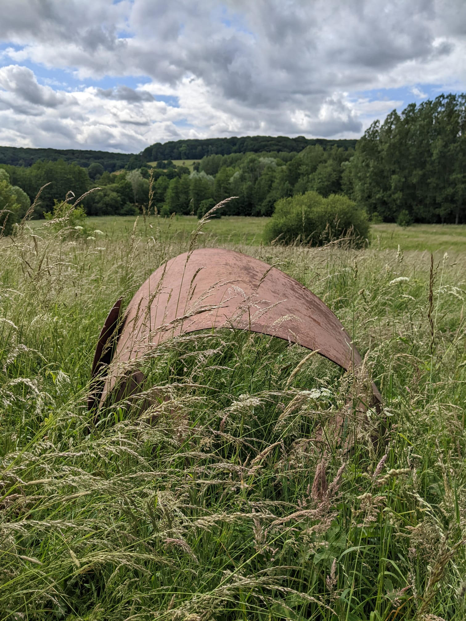 Maison Fertile, gîte avec vue sur nature sauvage et préservée dans le Perche